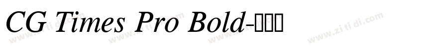 CG Times Pro Bold字体转换